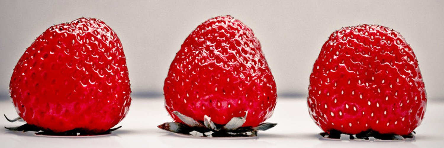g3128338's profile banner image