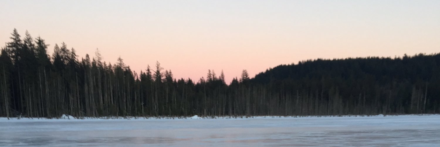ColtonNiki19's profile banner image