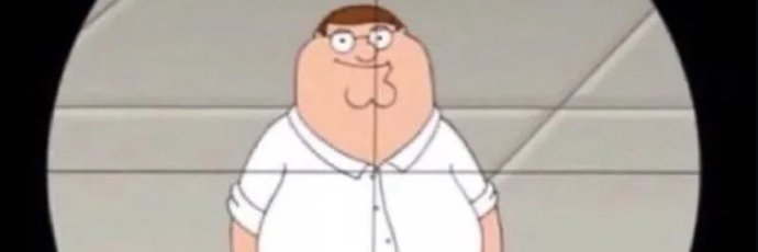 i hate my @. banner