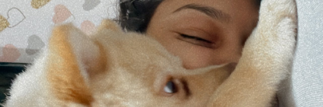 CarollinyMonte6's profile banner image