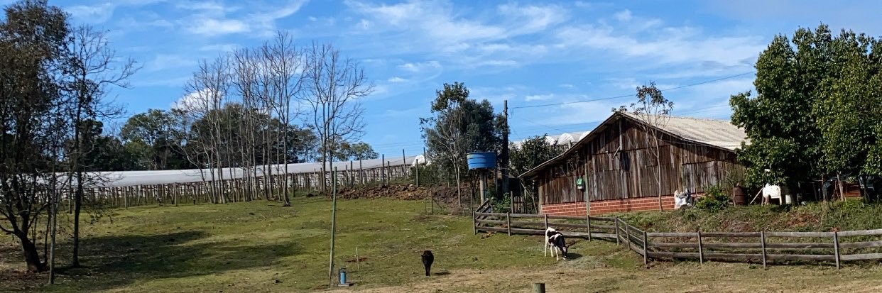 Itacir Zanotelli banner