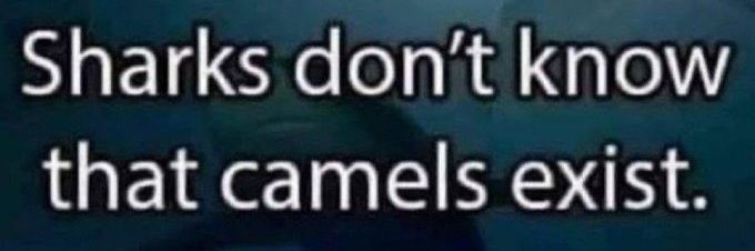 Cliver Daniel banner