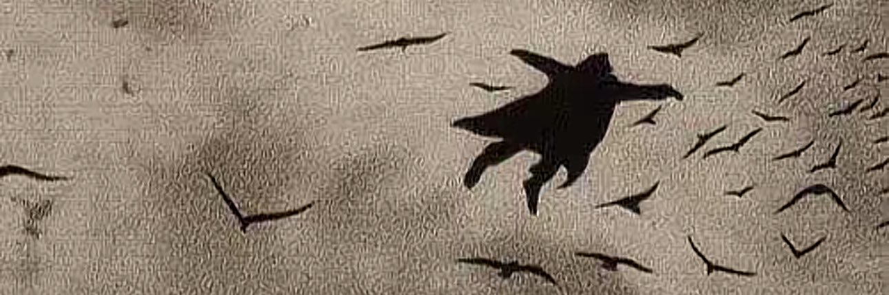 Sky banner