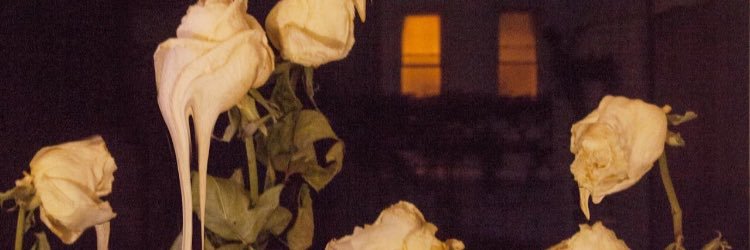 joss_illin's profile banner image