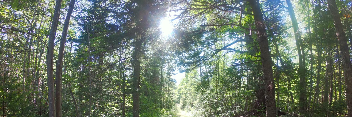 Topher Mittens 🫵🏻 banner