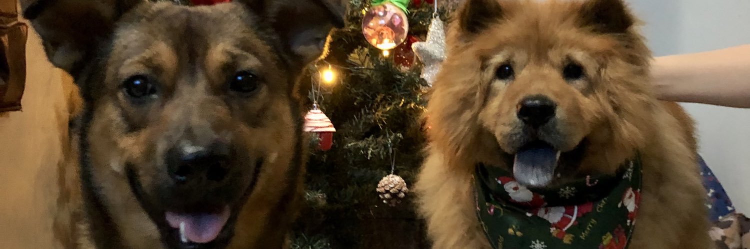 ohsobrups's profile banner image