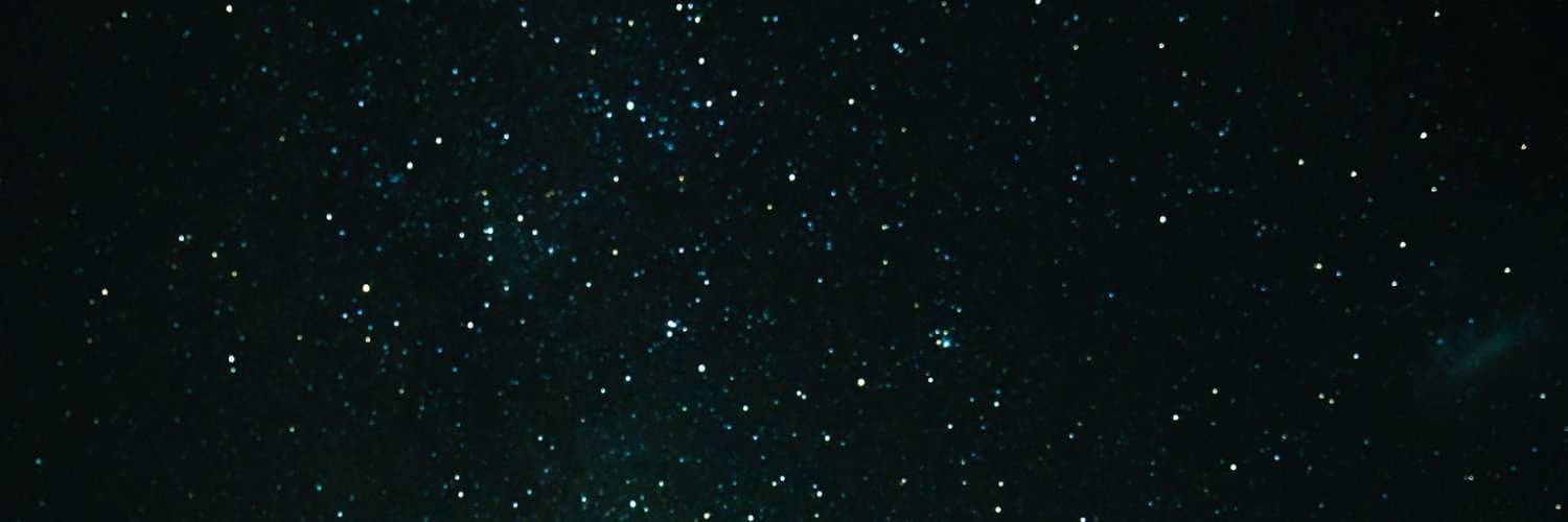 Buse banner