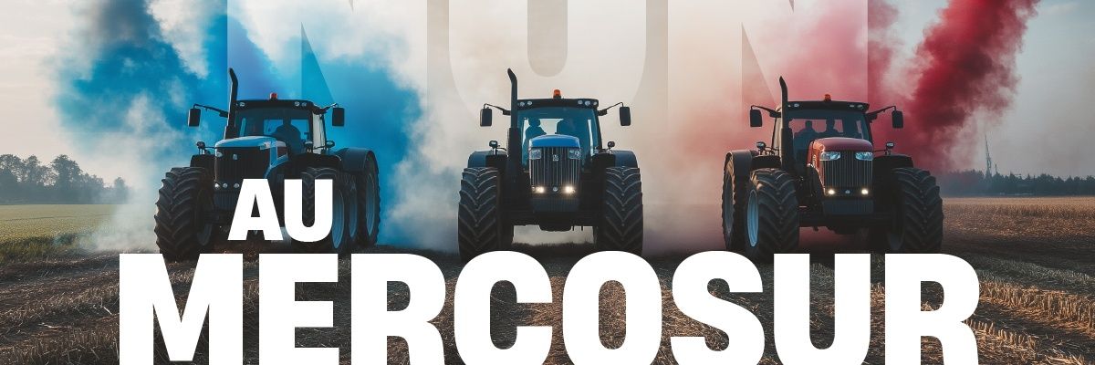 🍓Math31416🍓🥕🥕🥕🧹 XX banner