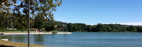 tomoshaughnessy Profile Banner