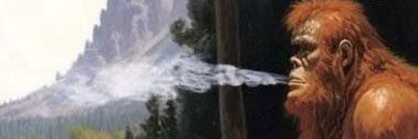 sopitis Profile Banner