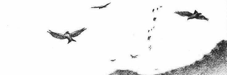 lowkeyxsol's profile banner image
