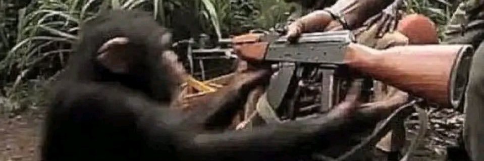 🇨🇮🇲🇱 banner