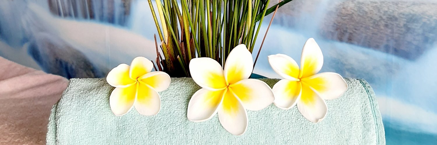 BushmanSpa's profile banner image