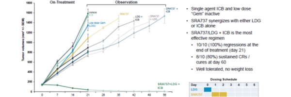 SRA737 Chk1 inhibitor. LUNG CANCER. OVARIAN CANCER Profile Banner