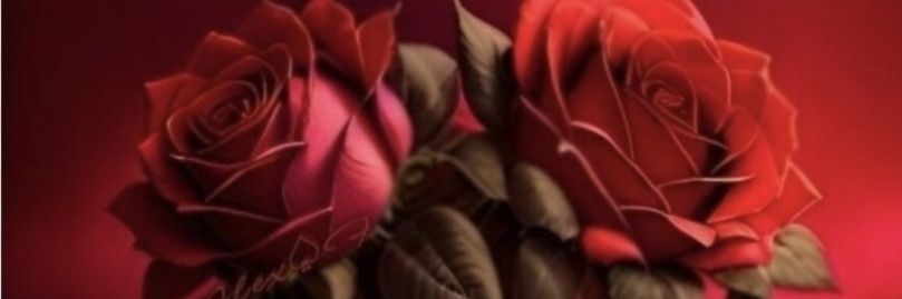 Miss J 🌹 banner
