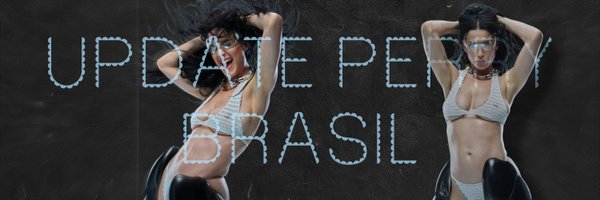 updateperrybr Profile Banner