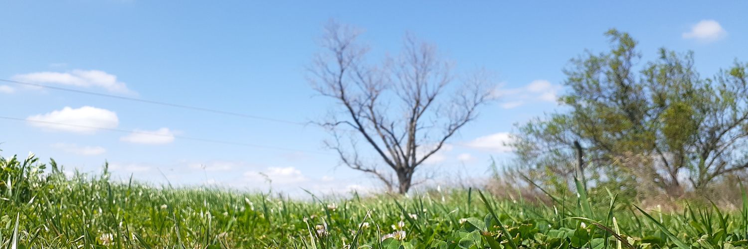 Vanesa Jacobi banner