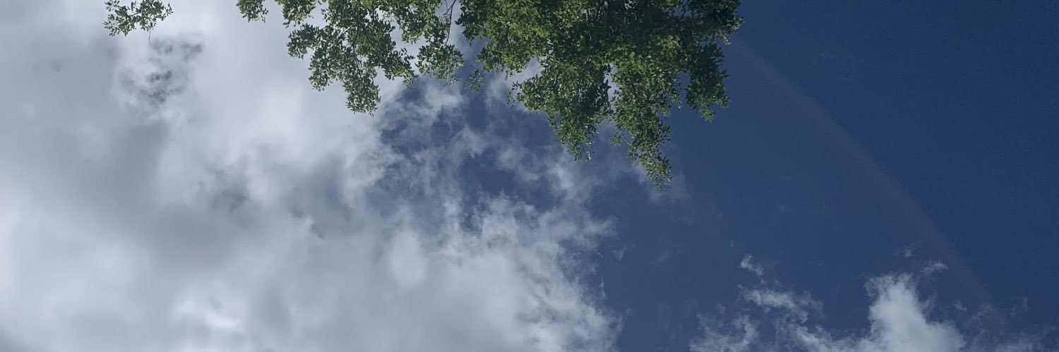matwilsol's profile banner image