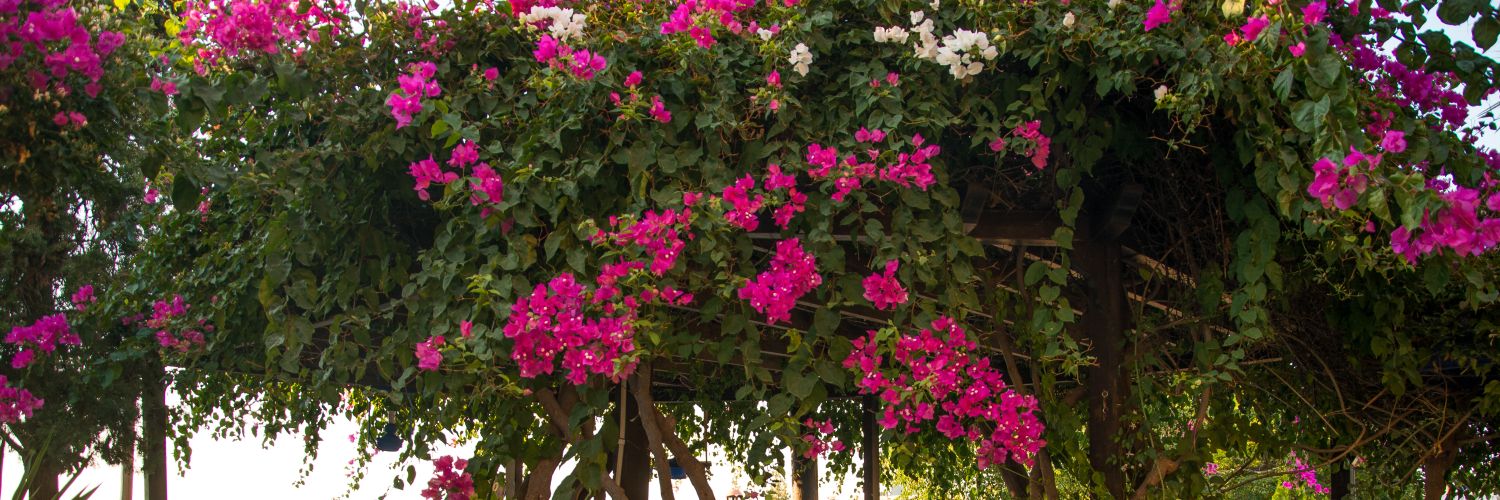 tweetakis's profile banner image