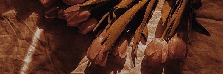 neco banner