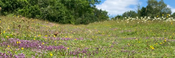 BCConservators Profile Banner