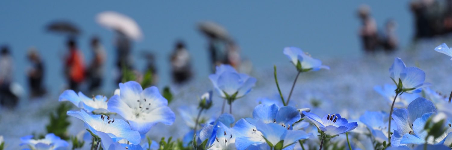satataro82's profile banner image