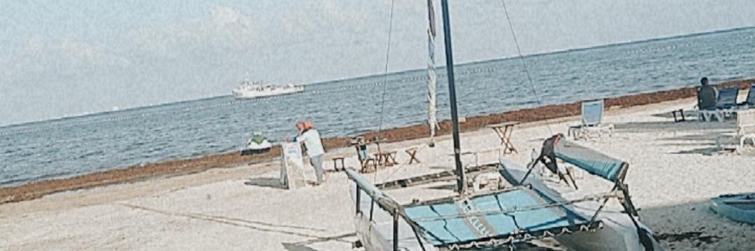 paupedrazaa's profile banner image