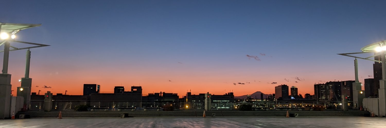 donna_lsa's profile banner image