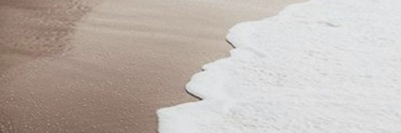 anitaferrero's profile banner image