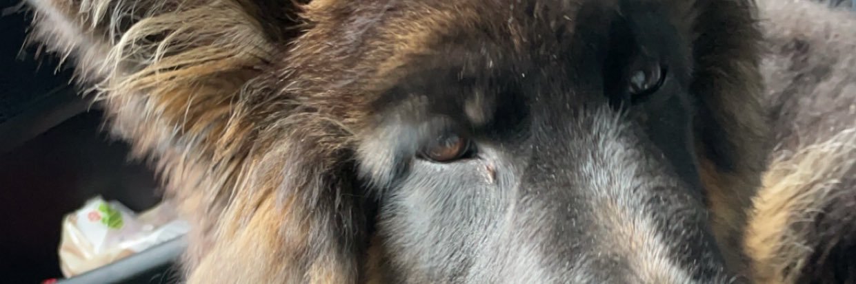 exanopro's profile banner image