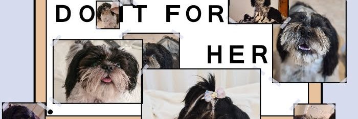 LulaNome's profile banner image