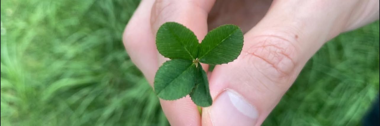🍀 banner