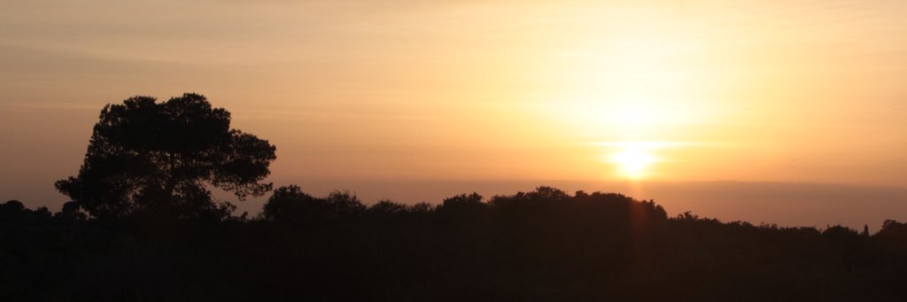 BabaTavsan's profile banner image