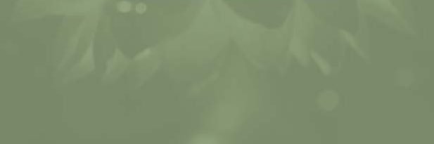 SLPYclan's profile banner image