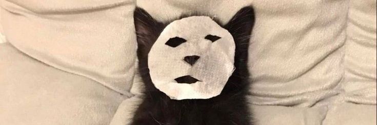 레알 개딱딱한 돌빵 banner