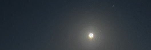 ali banner
