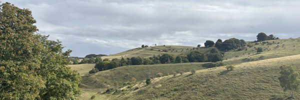 YoungTowser Profile Banner