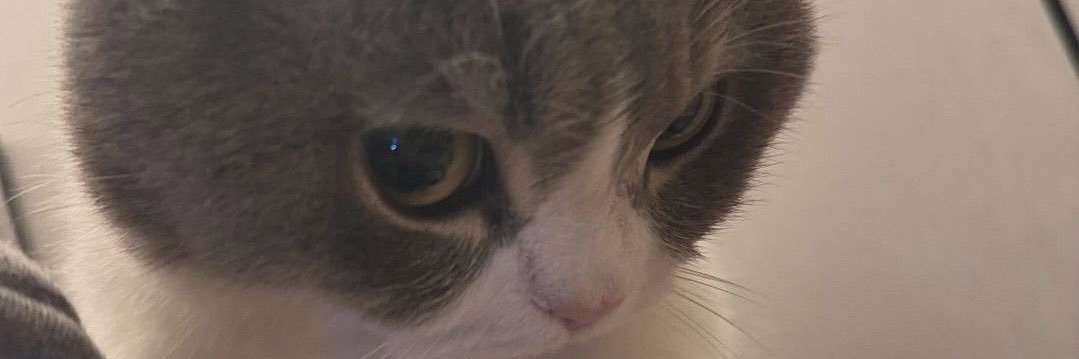RahmaYk's profile banner image