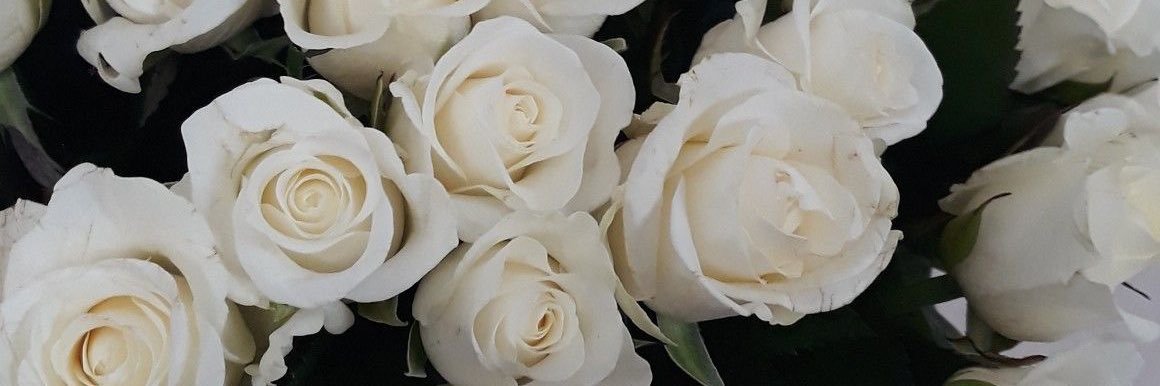 yomaemojefe's profile banner image