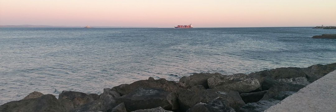 Lírio priv ✡︎ banner