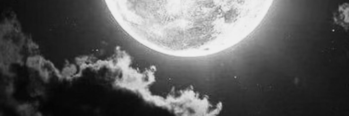 RnnSnchZ's profile banner image