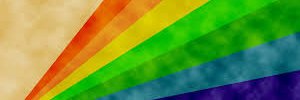 YWLA Respect The Rainbow banner