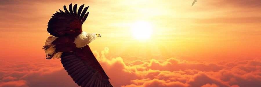 joeluisfm's profile banner image