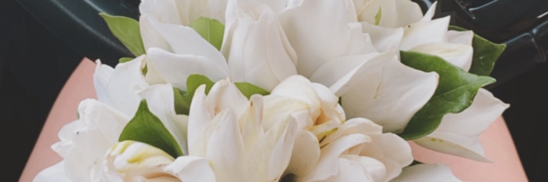 fernandafuerte's profile banner image