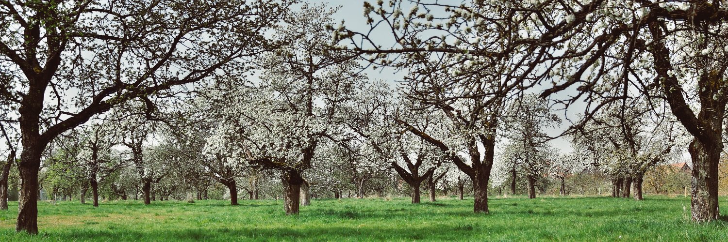 BCOE Coordinated District Support banner