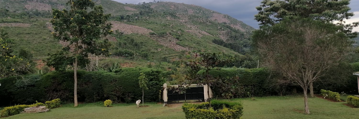 Jennifer Orwa banner