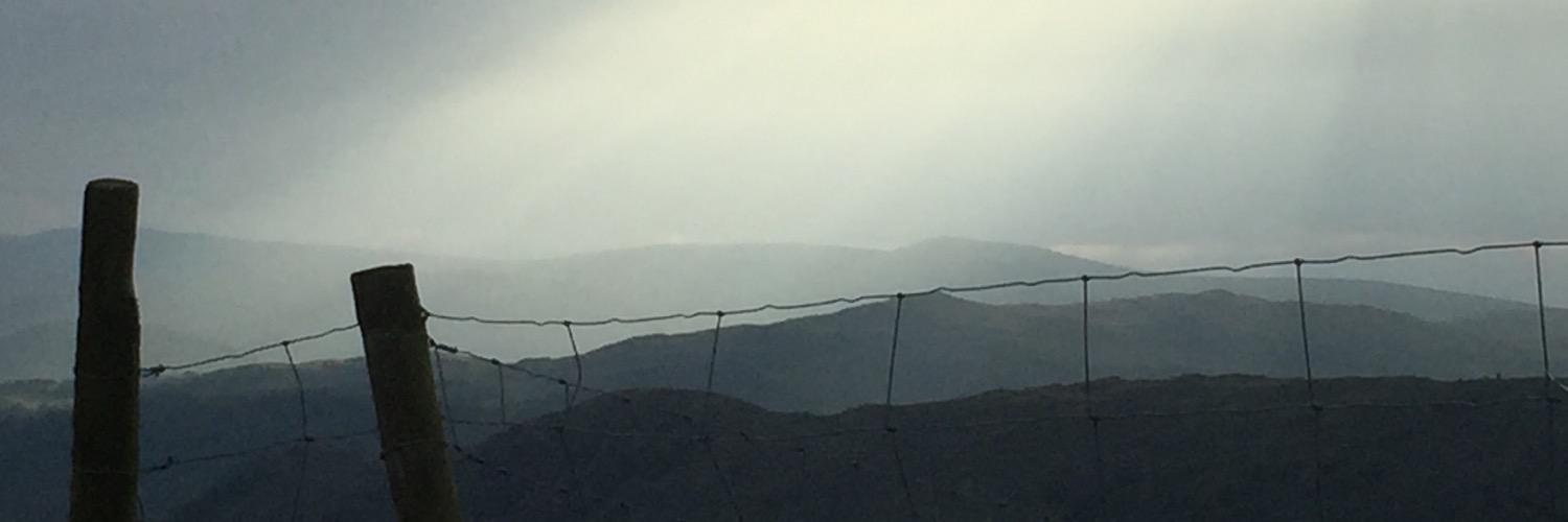 Redkez's profile banner image