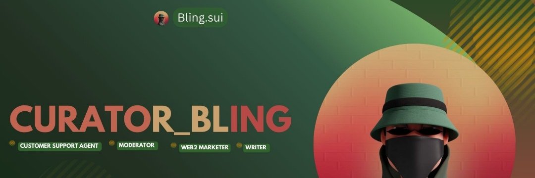 🔅Bling.sui banner