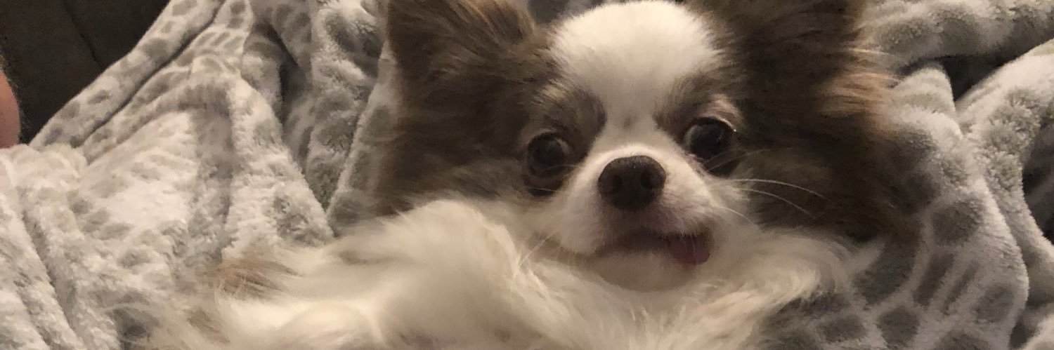 carolinehtucker's profile banner image