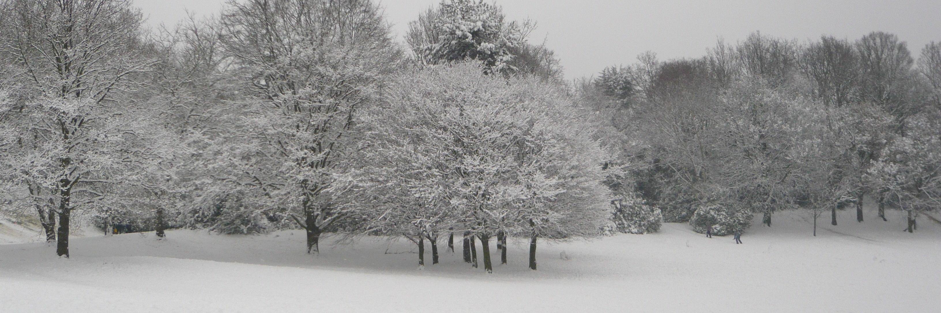 Crystal Palace SE19 banner